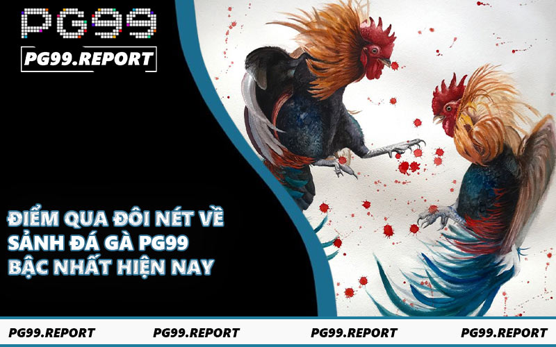 Điểm qua đôi nét về sảnh đá gà PG99 bậc nhất hiện nay